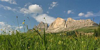 Adler Carezza
